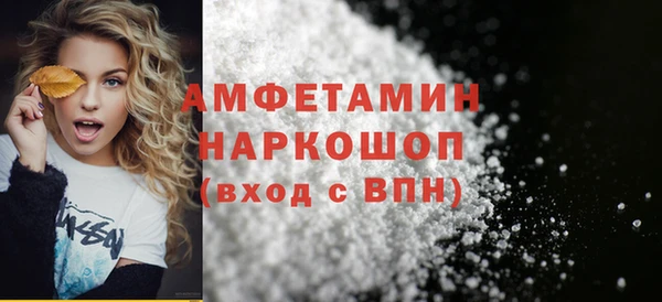 индика Волосово