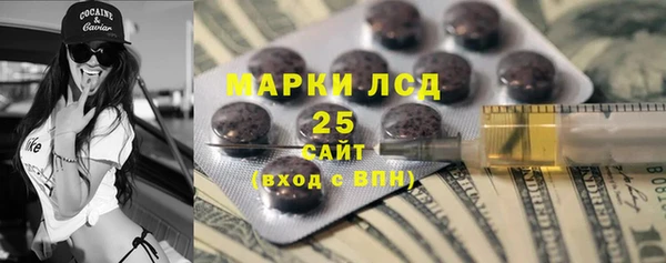 индика Волосово