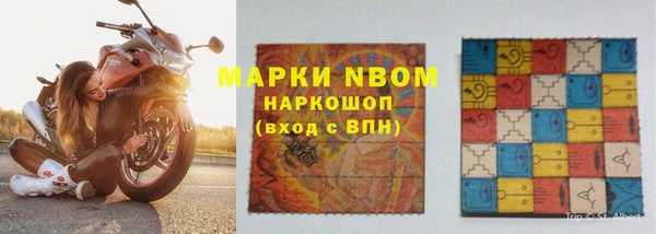 индика Волосово
