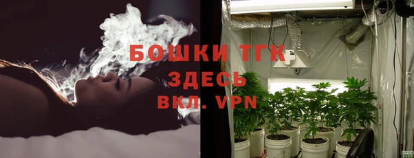 индика Волосово