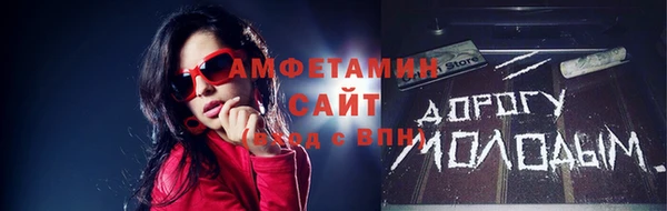 индика Волосово