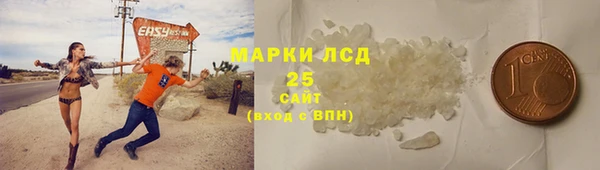 индика Волосово