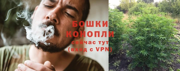 индика Волосово