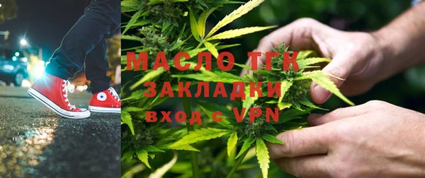 индика Волосово